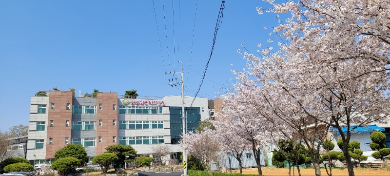 벚꽃이 있는 풍경.jpg